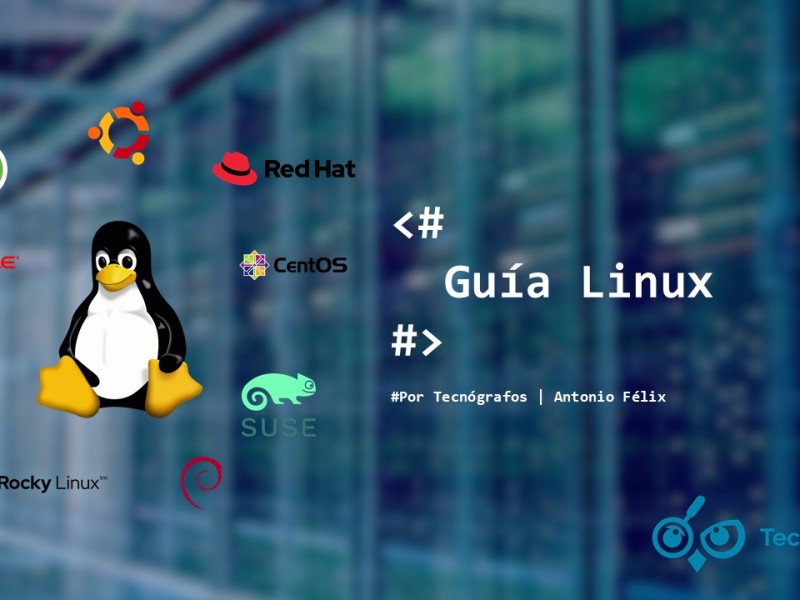 Análisis: ¿Qué distribución de Linux escoger para mi negocio?